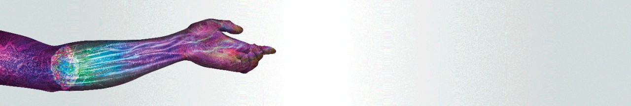 LP_Header